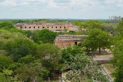 Trees and plants in front of historical building against sky