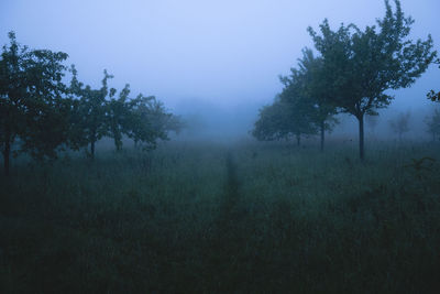 Trees on field against sky