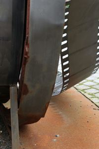 Close-up of tree stump