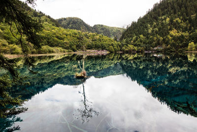 Scenic view of lake by trees against sky