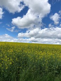 Scenic view of yellow field against cloudy sky