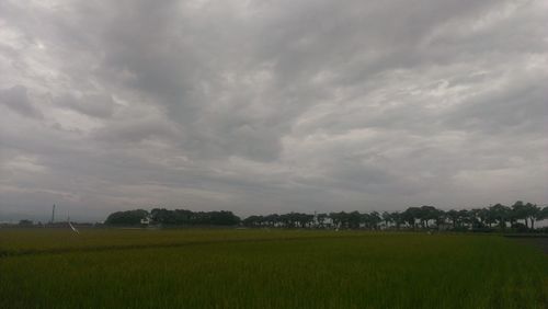 Scenic view of field against cloudy sky