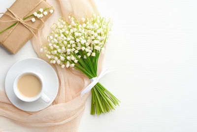 High angle view of potted plant on table