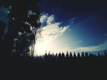 Low angle view of silhouette trees against sky at sunset