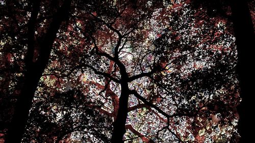 Low angle view of trees against sky