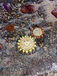 High angle view of crab on beach