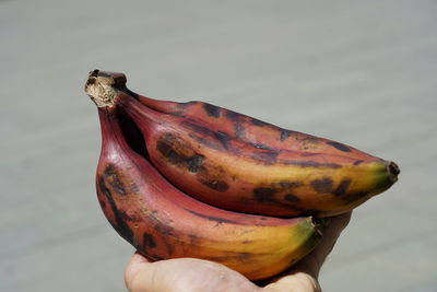 Close-up of hand holding fruit