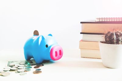 Close-up of coins with piggy bank over white background