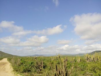 Scenic view of field against cloudy sky