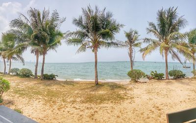 Palm trees on beach against sky