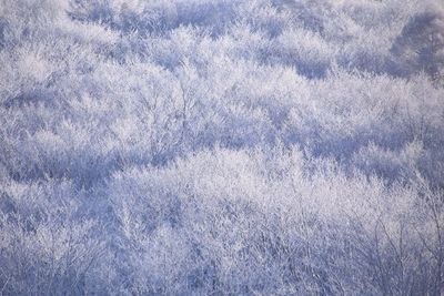 Full frame shot of abstract background