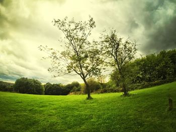 Scenic view of grassy field against cloudy sky