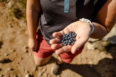 Midsection of woman holding huckleberries