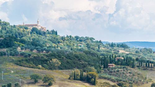 Panoramic view of trees and buildings against sky
