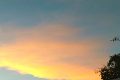 Low angle view of bird flying against sky during sunset