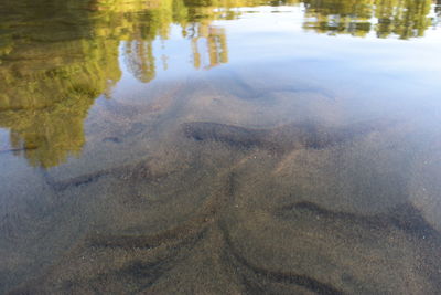 Close-up of water on beach