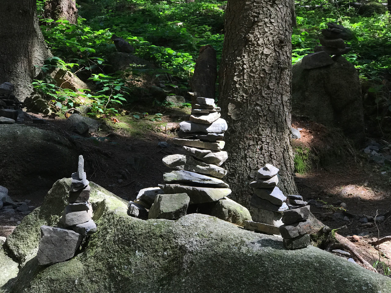 STONE WALL WITH TREES IN BACKGROUND