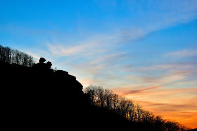 Low angle view of silhouette trees against sky during sunset