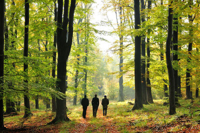 Group of people in forest