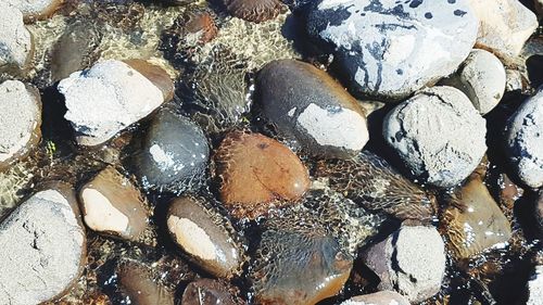 Full frame shot of rocks on beach