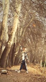 Trees in forest