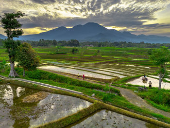 landscape