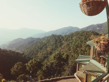 mountain