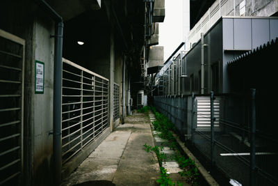 Empty alley amidst buildings in city