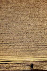 Rear view of silhouette man standing on beach