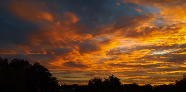 Low angle view of silhouette trees against orange sky