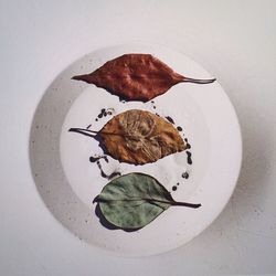 Directly above shot of leaf in plate on table