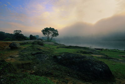 Scenic view of landscape against sky