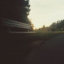 Trees on field at sunset