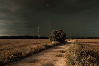 Scenic view of field against sky
