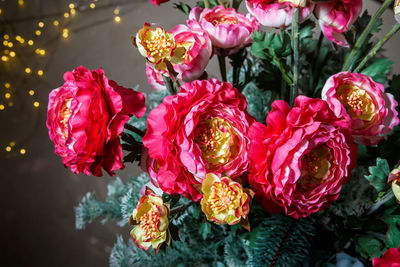 Close-up of red roses