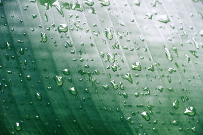 Full frame shot of raindrops on glass window