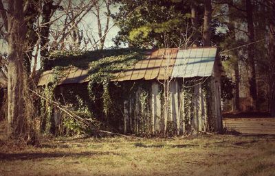 Old house on field