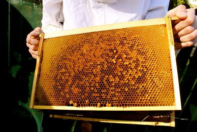Midsection of person holding honeycomb