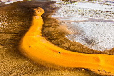 High angle view of yellow water