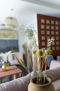 Close-up of potted plant on table