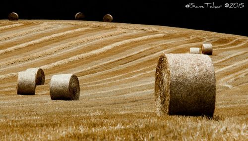 Hay bales on hay