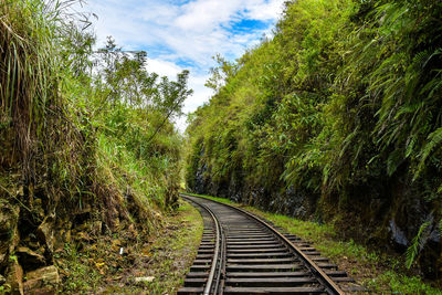 Railroad track amidst trees against sky