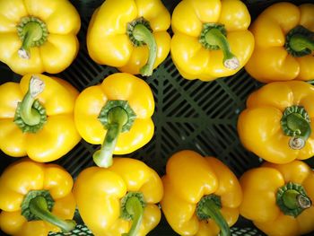 High angle view of bell peppers