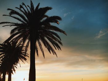 Low angle view of palm tree against cloudy sky