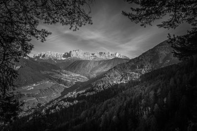 Black and white view of catinaccio dolomitic peaks visible through an opening in the trees, italy