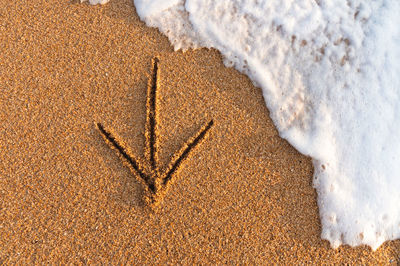 High angle view of sand at beach