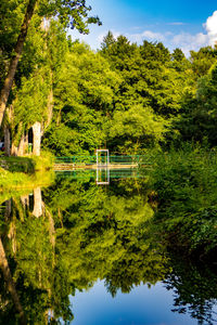 Scenic view of lake by trees against sky