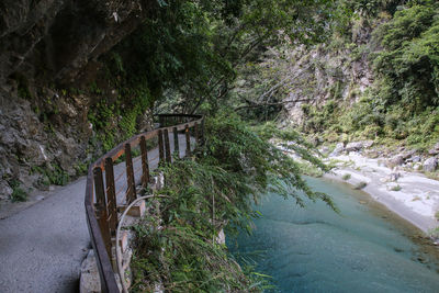 Bridge over river amidst trees