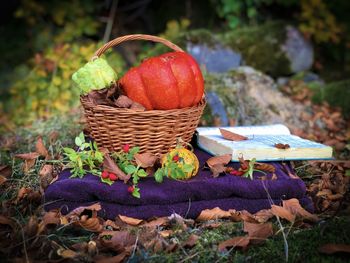 Wooden basket with different pumpkins placed on a purple blanket with a book beside