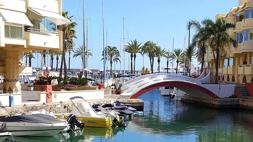 Boats moored by palm trees against clear sky